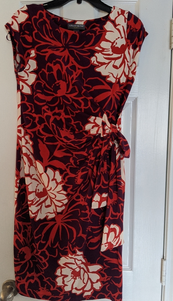 Pea in a pod maternity dress